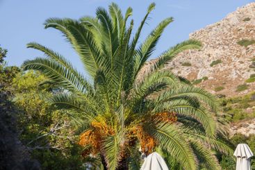 Seaside landscape in the Kalithea area of ​​Rhodes Greece