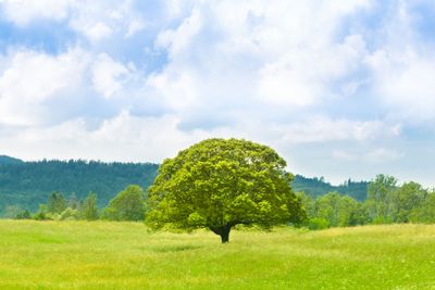 Green planet - Earth