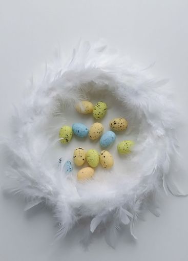 Speckled Easter Eggs in Feather Nest on White Background