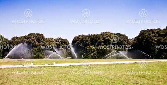 Luxury garden: irrigation