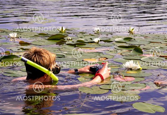 The Water Lily Photographer
