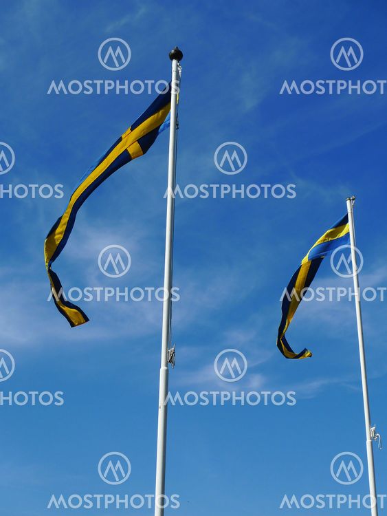 Swedish flag