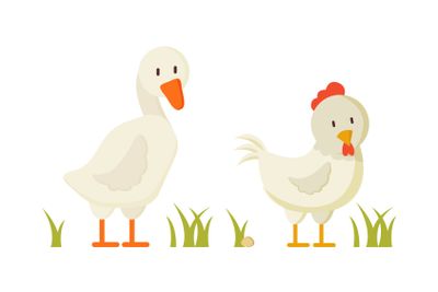 Goose and Chicken Pair of White Domestic Birds