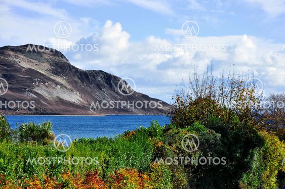 Arran