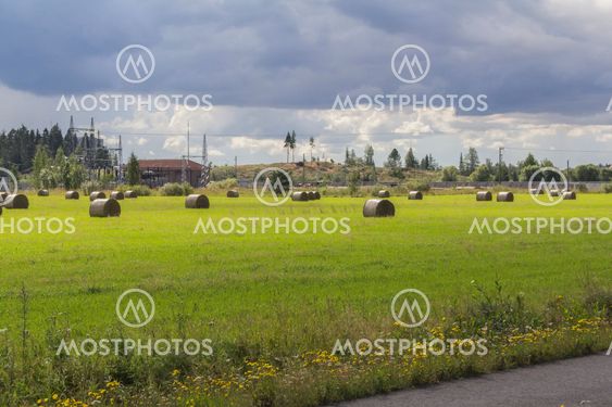 Haymaking