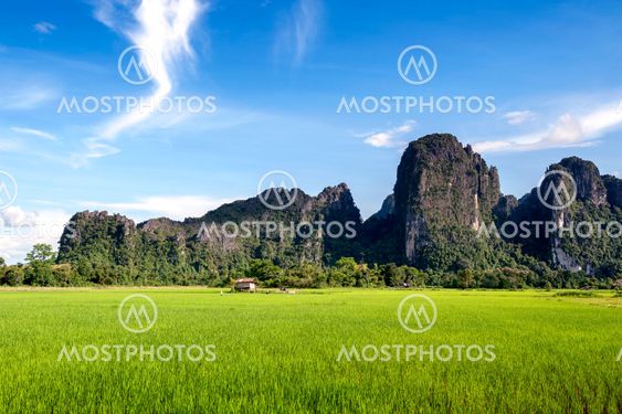 Green rice paddy field and limestone mountains in Vang Vieng, popular tourist resort town in Lao PDR.