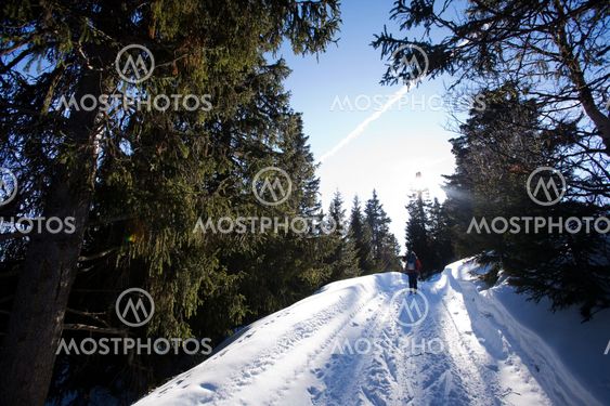 Cross Country Skiing