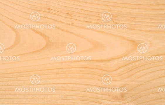 Beech wood texture