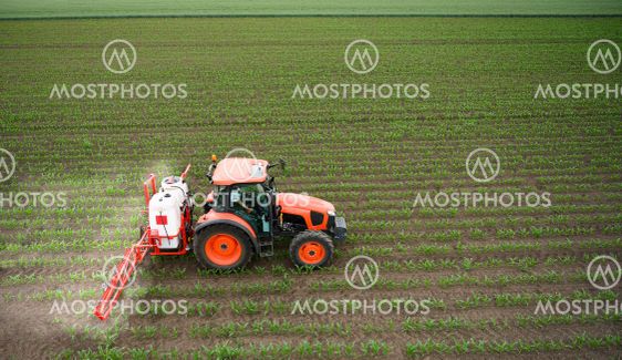Tractor spraying corn field