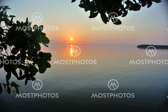 golden sunrise