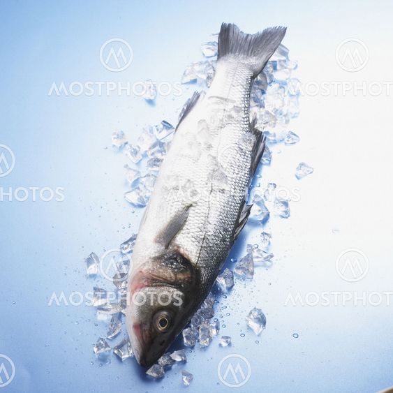Whole fish in ice.