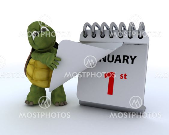tortoise with a calendar