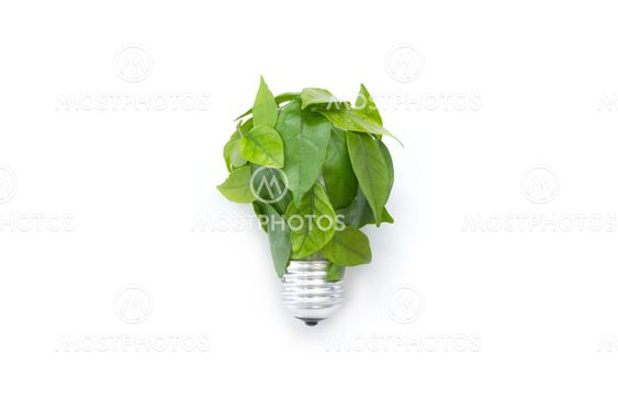 Light bulb made of green leaves