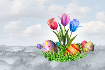 Easter Spring Tulips