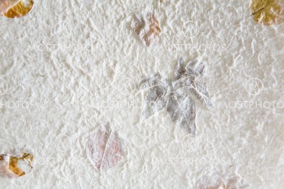 Frosted leafs background