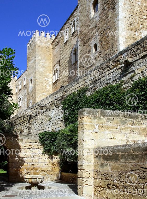 Garden View of the Cathedral La Seu
