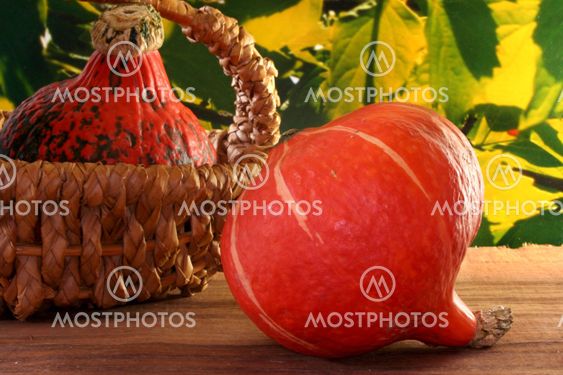 Pumpkin