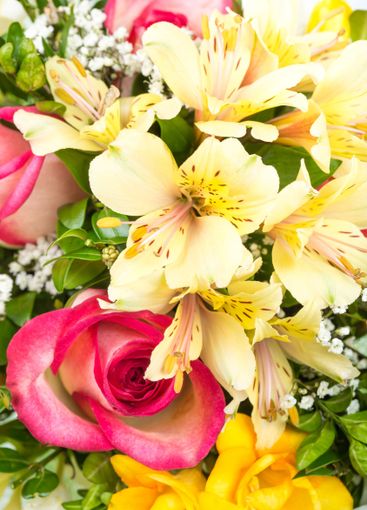 Colorful bouquet featuring roses, alstroemeria, and...