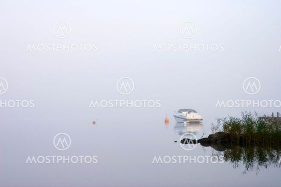 Foggy morning