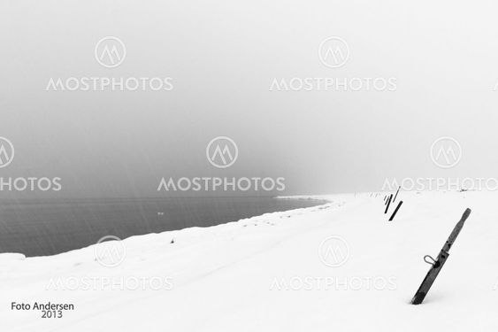 white sea