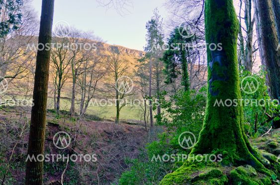 Glenariff Mountain