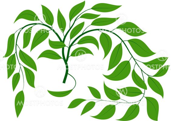Green branch