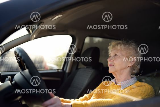 Portrait of a senior business woman learning drive a...