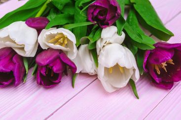 Bouquet of tulip flowers on pink wood background with...