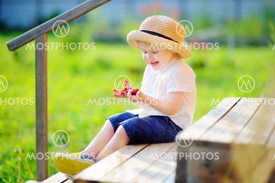 Toddler boy looking on his harvest on raspberry farm