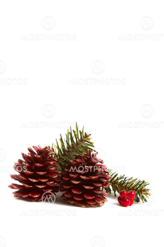 Christmas mänty tötteröt, esittää