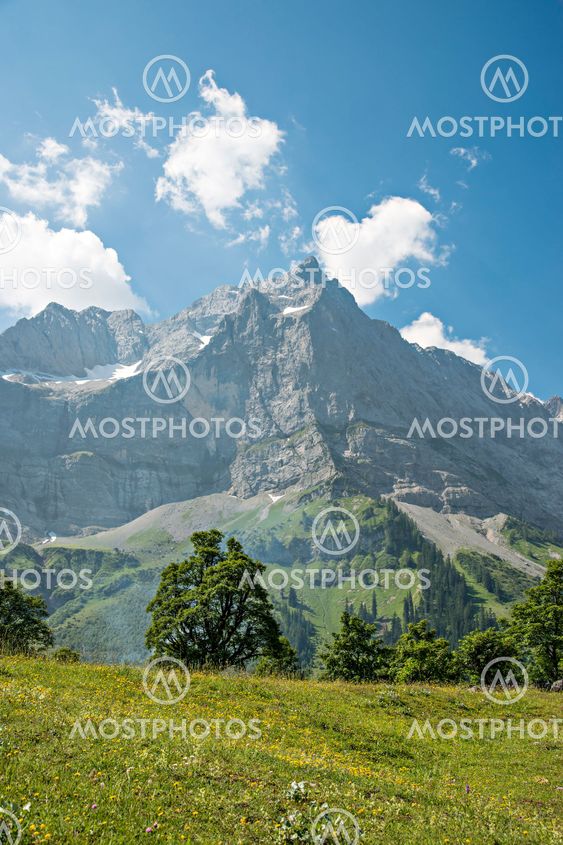 Alps in Austria