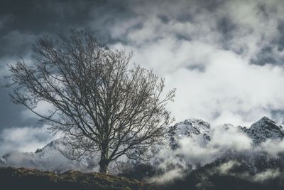 mountain moody landscape - springtime mood - desaturated...