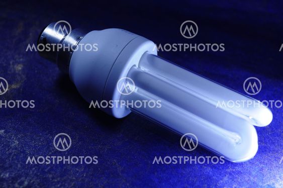 bulb