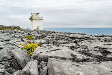 Black Head Lighthouse, situated in the rough rocky...