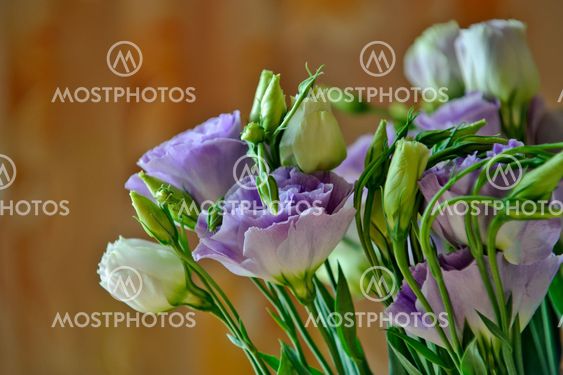 Bouquet of flowers
