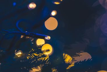 Out of focus christmas lights in blue evening light.