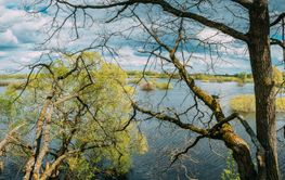 Panoramic View Countryside Landscape During Spring Flood...