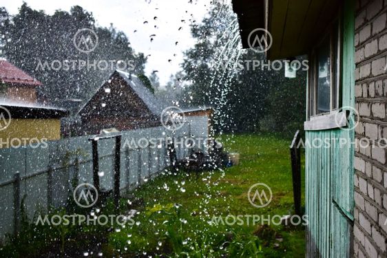 whim of nature - summer rain