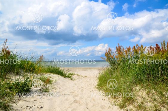 Path to the beach