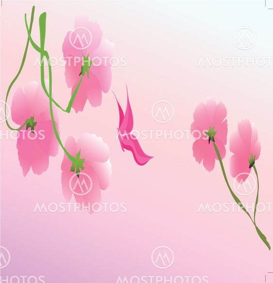 exotic butterfly on pink flower design