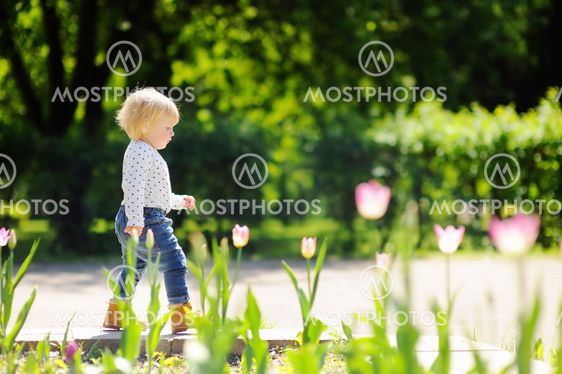 Toddler boy walking in the park