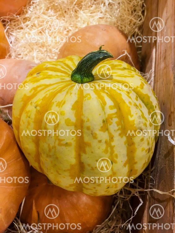 Pumpkins