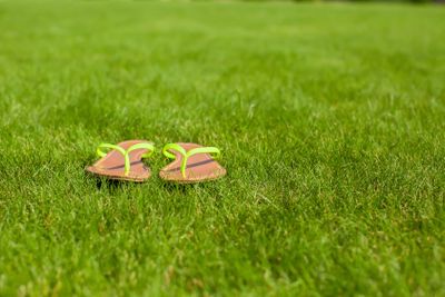 Closeup of bright flip flops on green grass