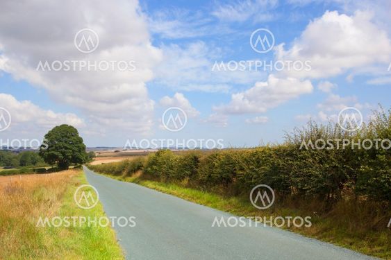 summer landscape