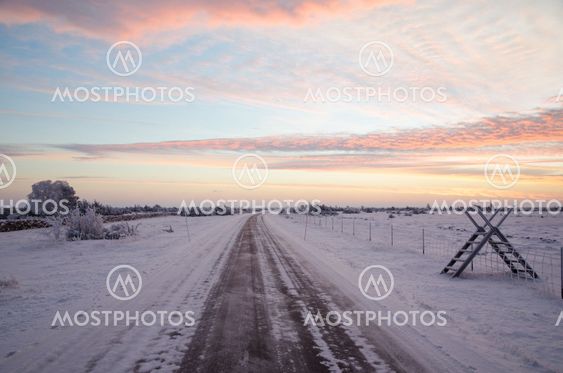 Early winter morning by a country road