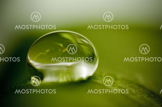 Drop on green