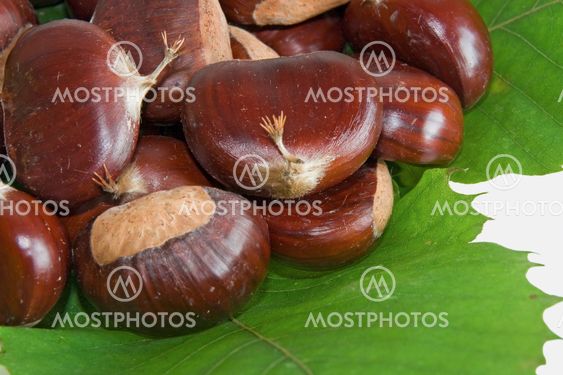Chestnuts with leaves detail