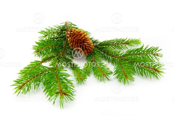 Beautiful Christmas decorations