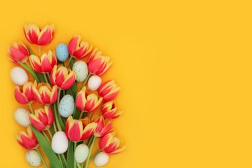 Easter Eggs and Tulip Flower Seasonal Symbols Background
