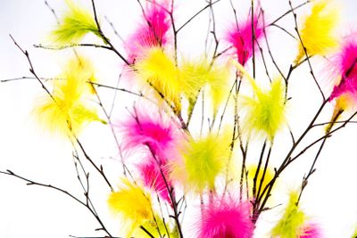Easter Twigs with Coloured Feathers